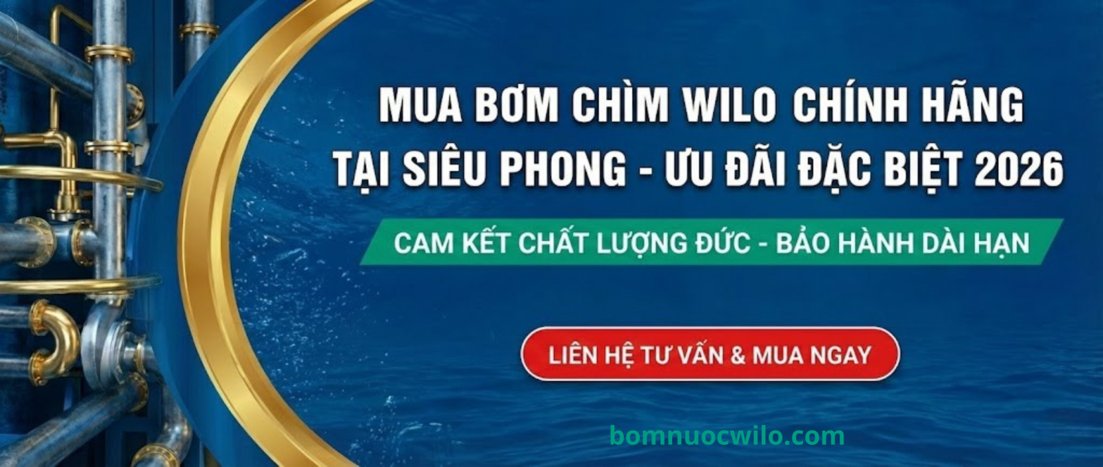 cach-tinnh-q-h-cho-bom-chim-03