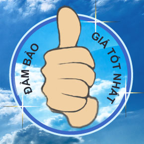 Máy bơm nước Wilo giá khuyến mãi cực hấp dẫn cho người sử dụng