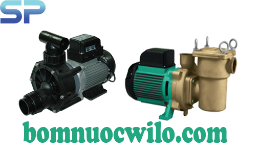Phân loại máy bơm nước hồ bơi Wilo và hướng dẫn cách lắp đặt máy bơm