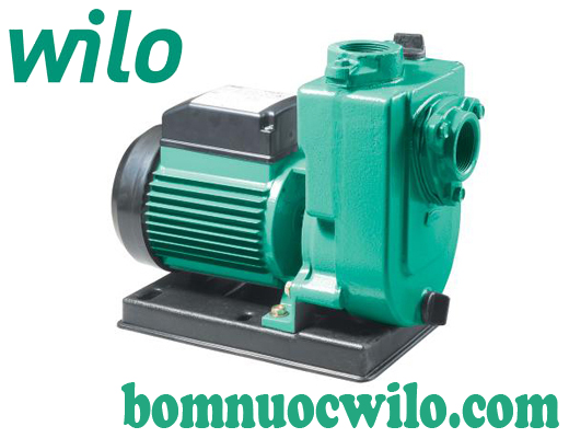 Sơ lược về dòng sản phẩm máy bơm nước tự mồi lưu lượng lớn Wilo