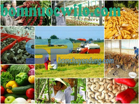 Ứng dụng máy bơm nước Wilo trong nông nghiệp