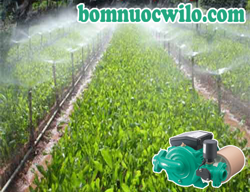 Vì sao chọn máy bơm tăng áp Wilo công nghệ Đức